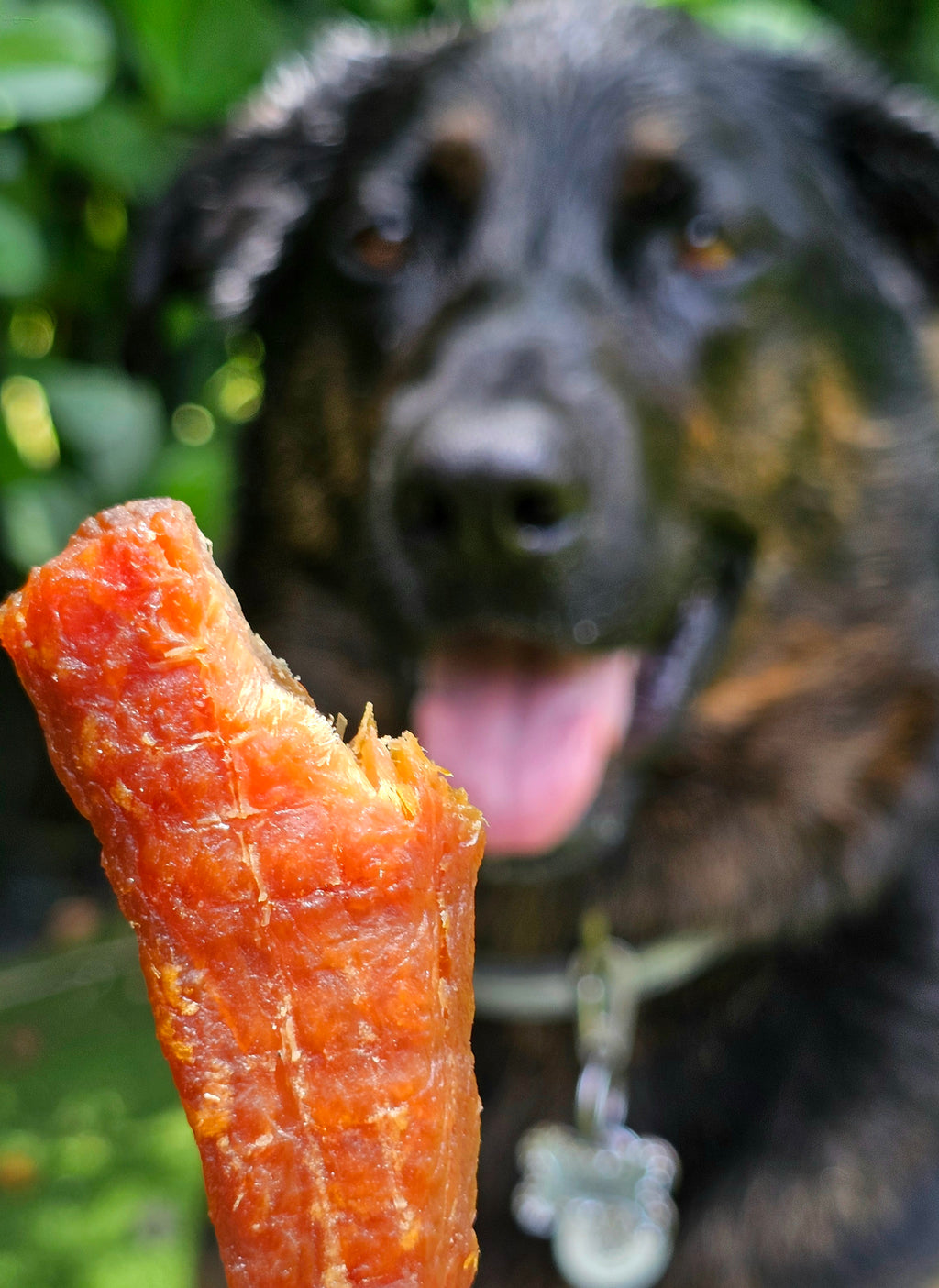 Salmon Jerky Treats