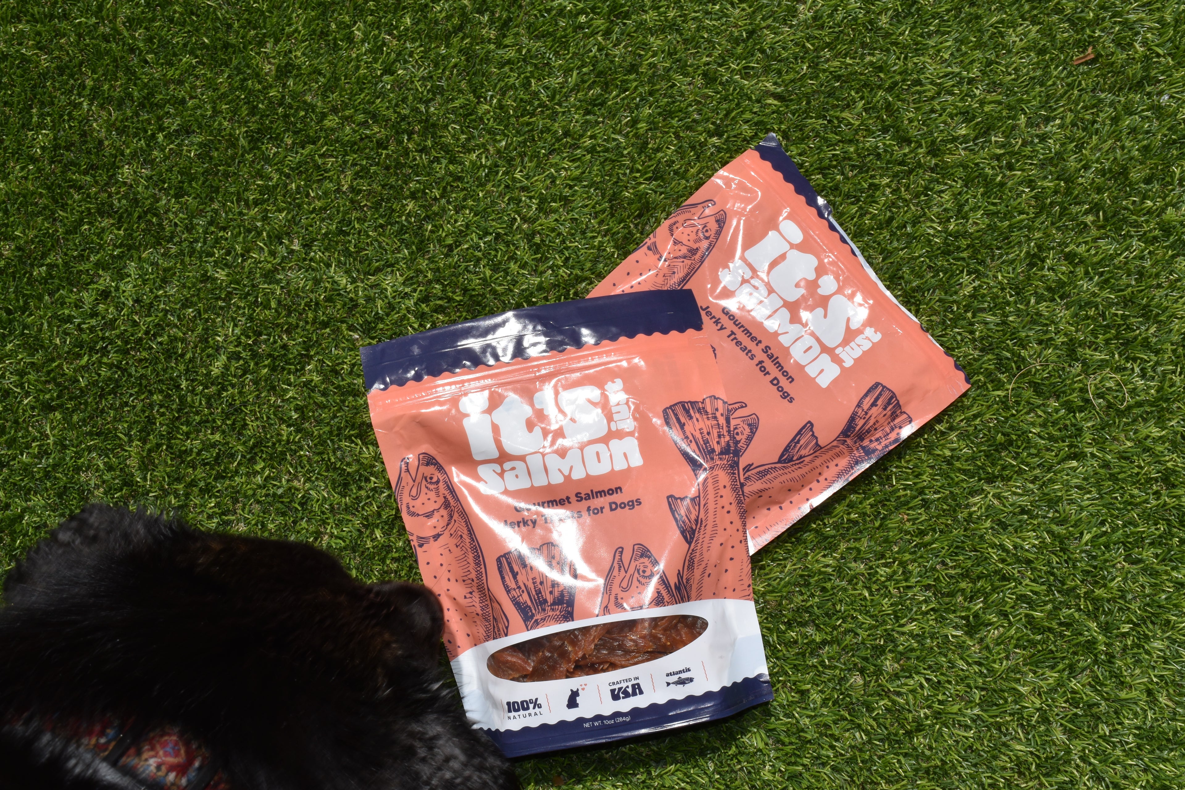 Salmon Jerky Treats