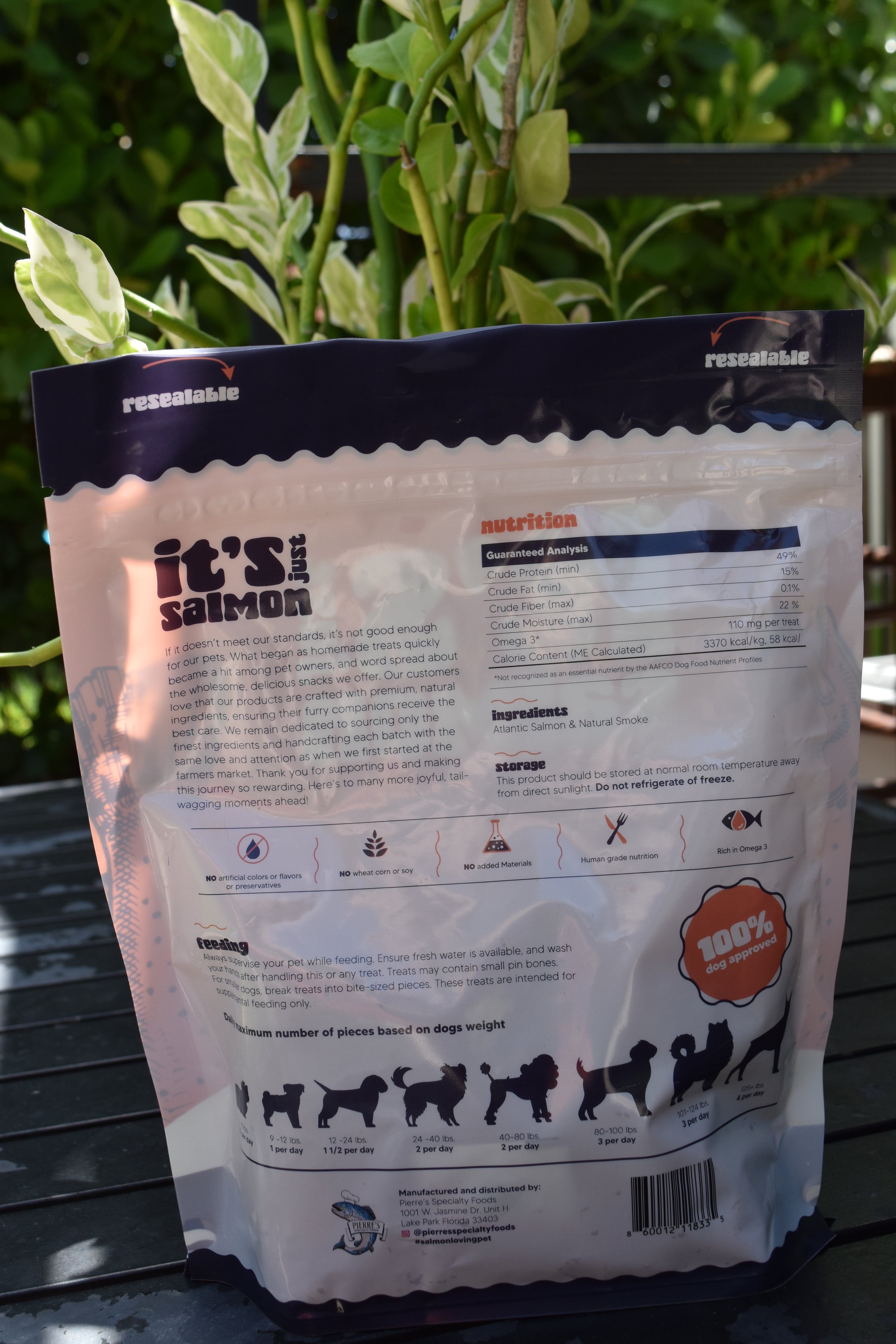 Salmon Jerky Treats